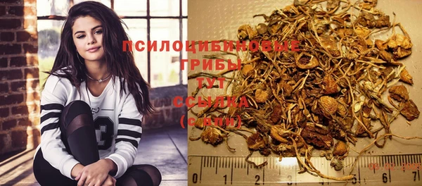 MESCALINE Белокуриха