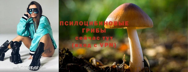 бошки Беломорск