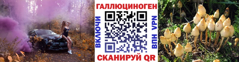 Купить  Оха  Галлюциногенные грибы Cubensis 